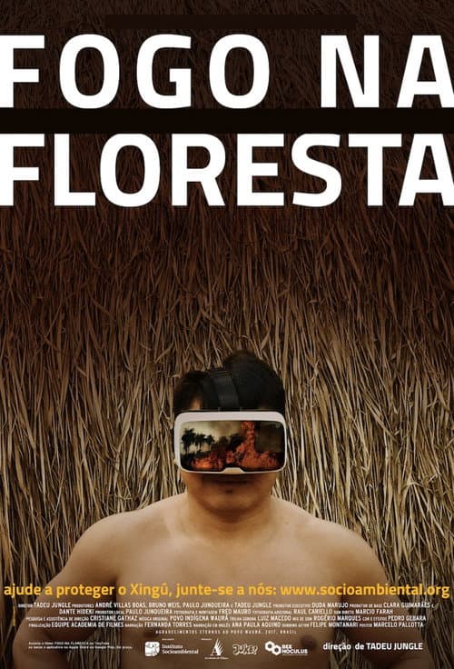 Fire in the Forest