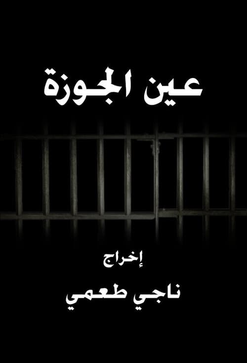 Ain El Jawze