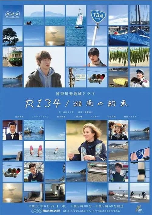 R134/湘南の約束