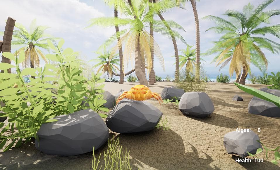 The Crab Simulator