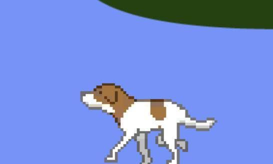 Disco Dog
