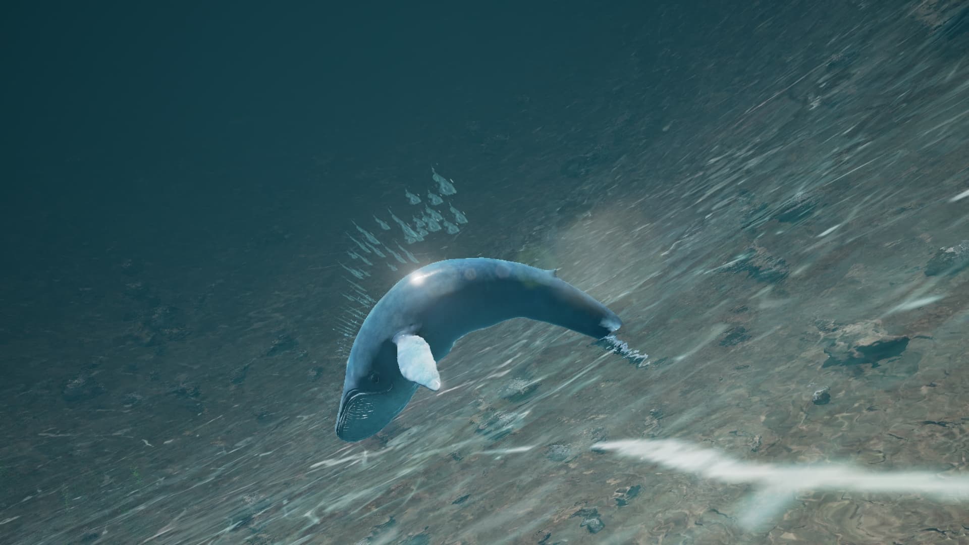 Inner Sea