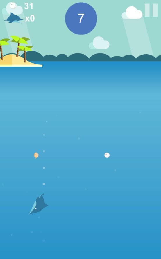 Dolphin Circle