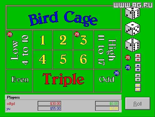 Bird Cage