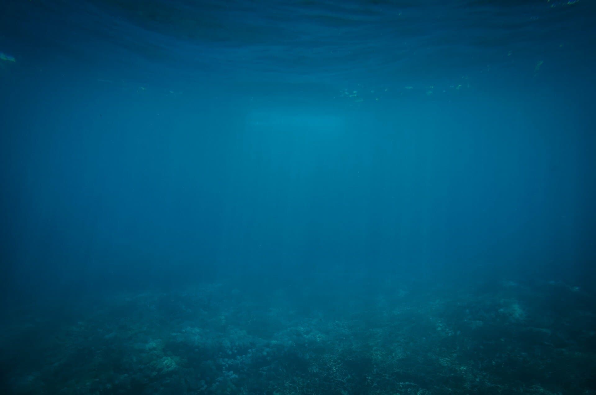 Thalassophobia (DianaFlindt)