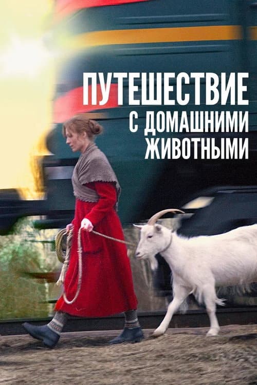 Travelling with Pets