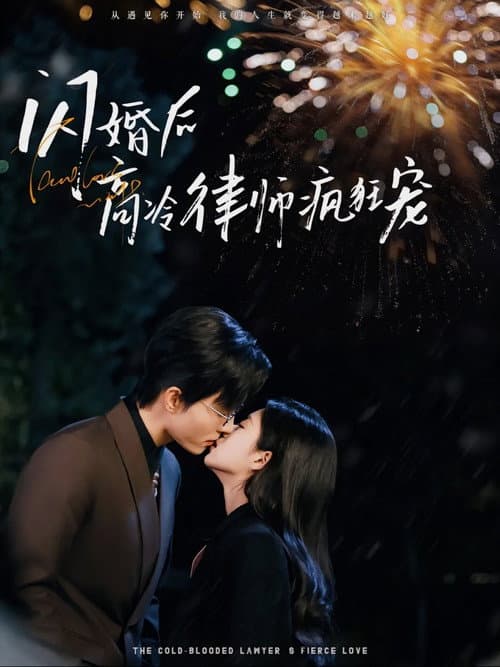 闪婚后蒋律师卑微求爱