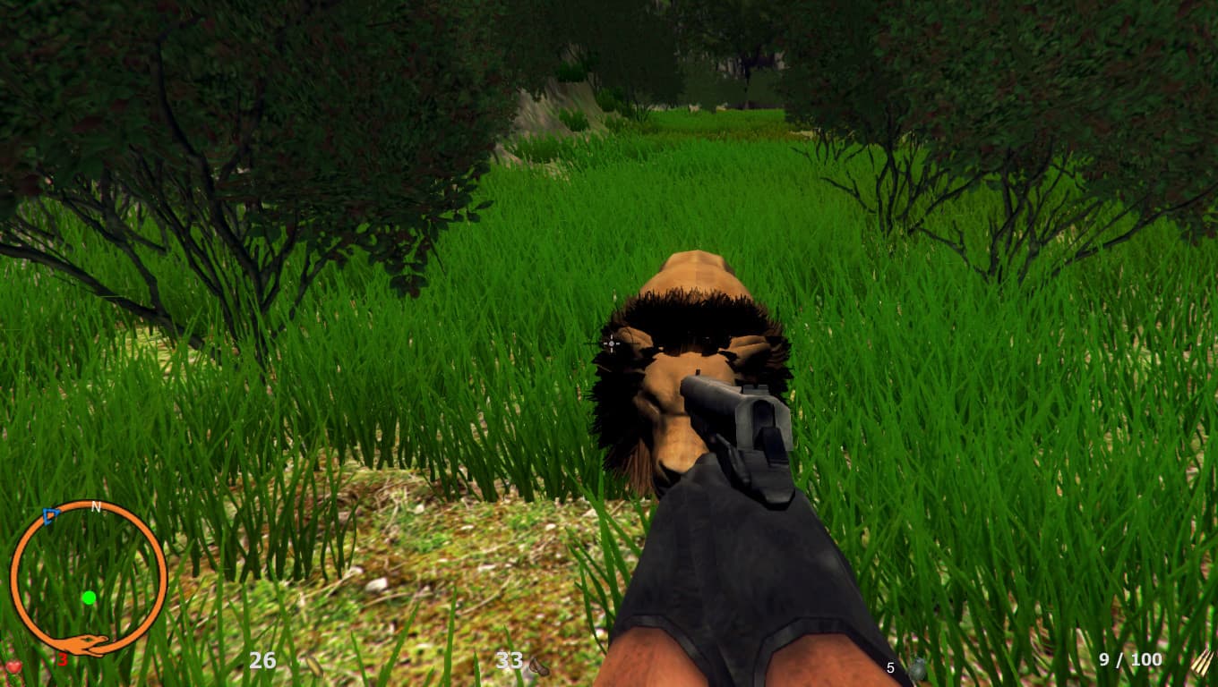 The jungle