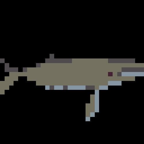 Basic Whales