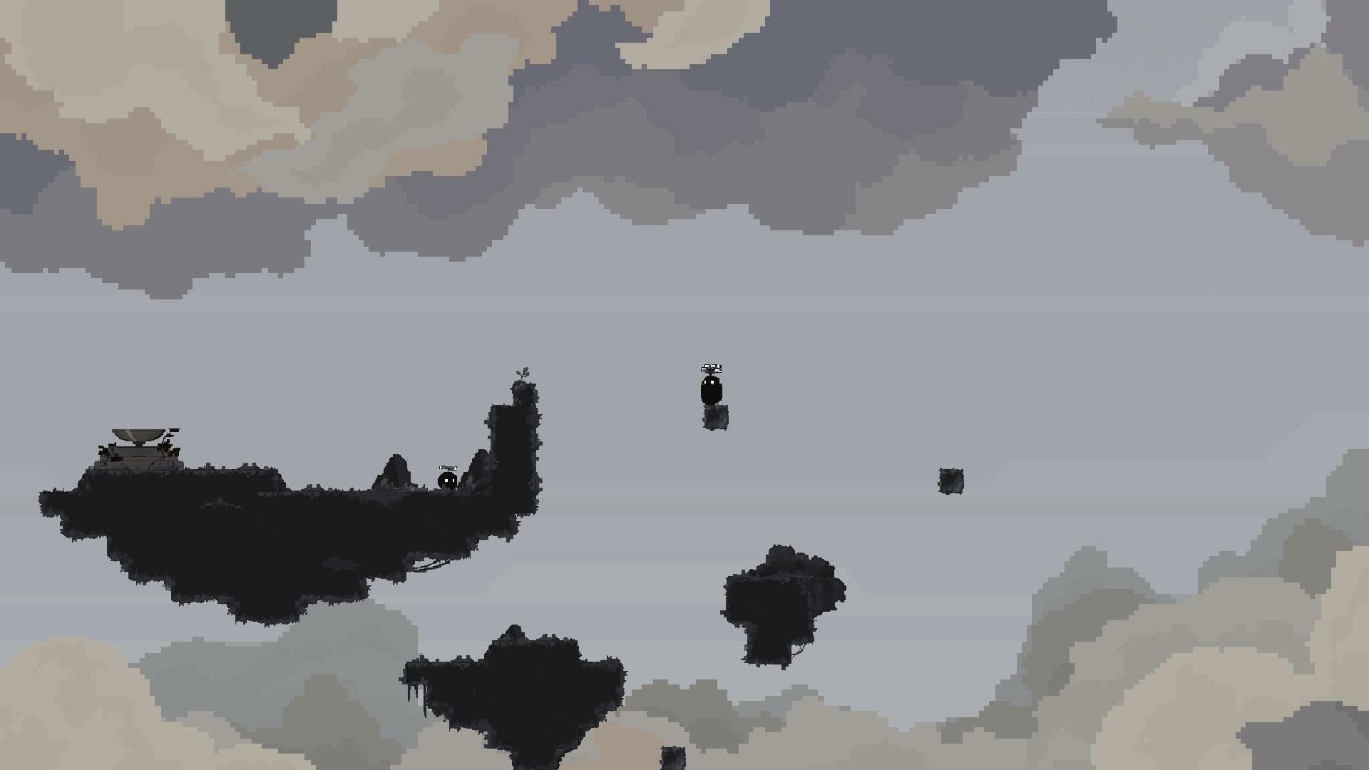 Black Water Lilies