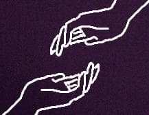 to the ends of each of my fingers